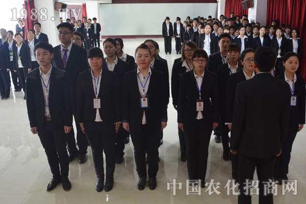 團(tuán)隊(duì):個(gè)人求發(fā)展,團(tuán)隊(duì)求未來(lái)