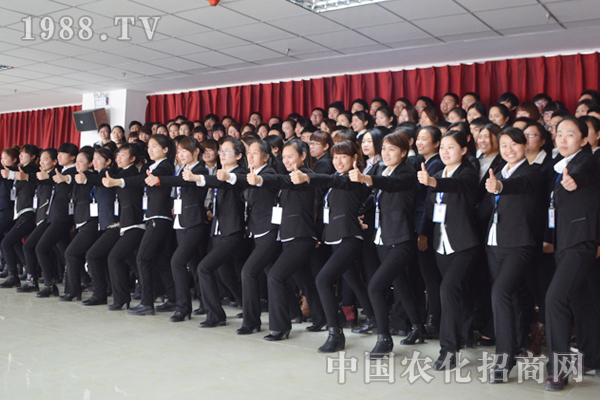 2015,更火爆