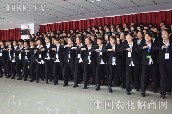 在火爆成長的點(diǎn)點(diǎn)滴滴