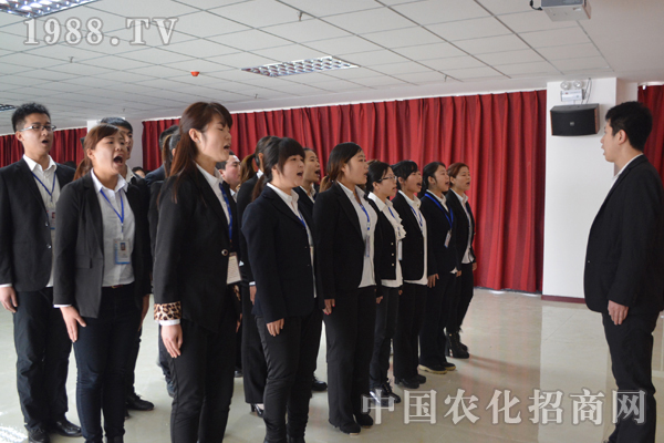 員工抱成團(tuán) 公司才能“無懈可擊”